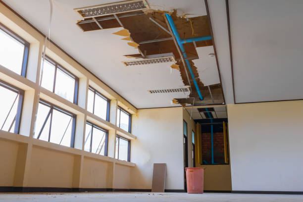 Best Professional water damage repair  in Marion, MT