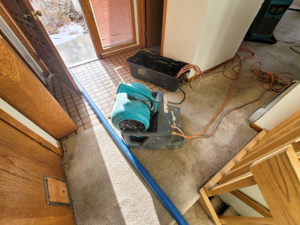 Best Water damage restoration near me  in Marion, MT