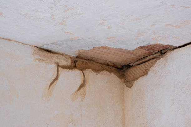 Best Emergency water damage restoration  in Marion, MT