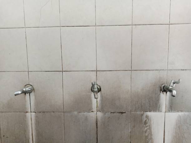 Best Carpet water damage restoration  in Marion, MT