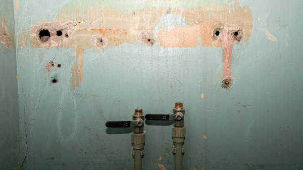 Best Basement water damage restoration  in Marion, MT