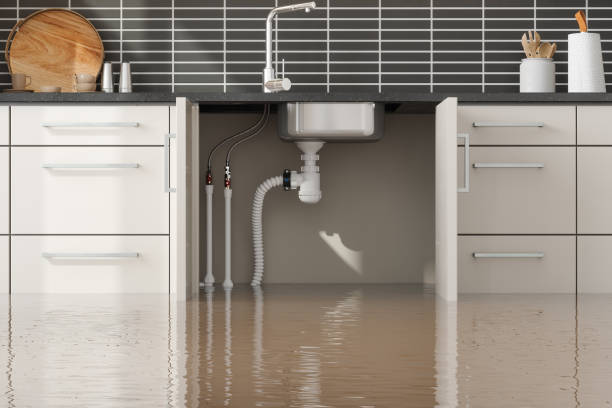 Trusted Marion, MT Water damage restoration Experts