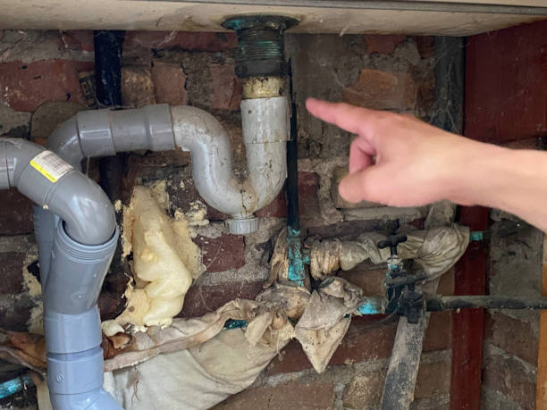 Best Flood damage cleanup  in Marion, MT