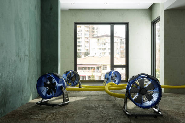 Best Water damage cleanup near me  in Marion, MT
